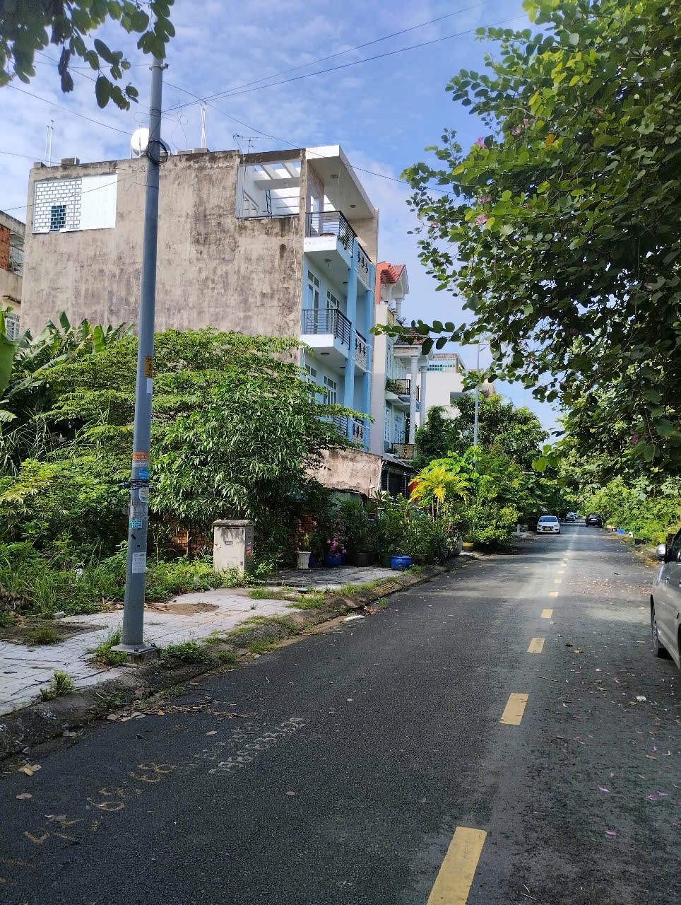 IMG 1756872165218 1756872174168