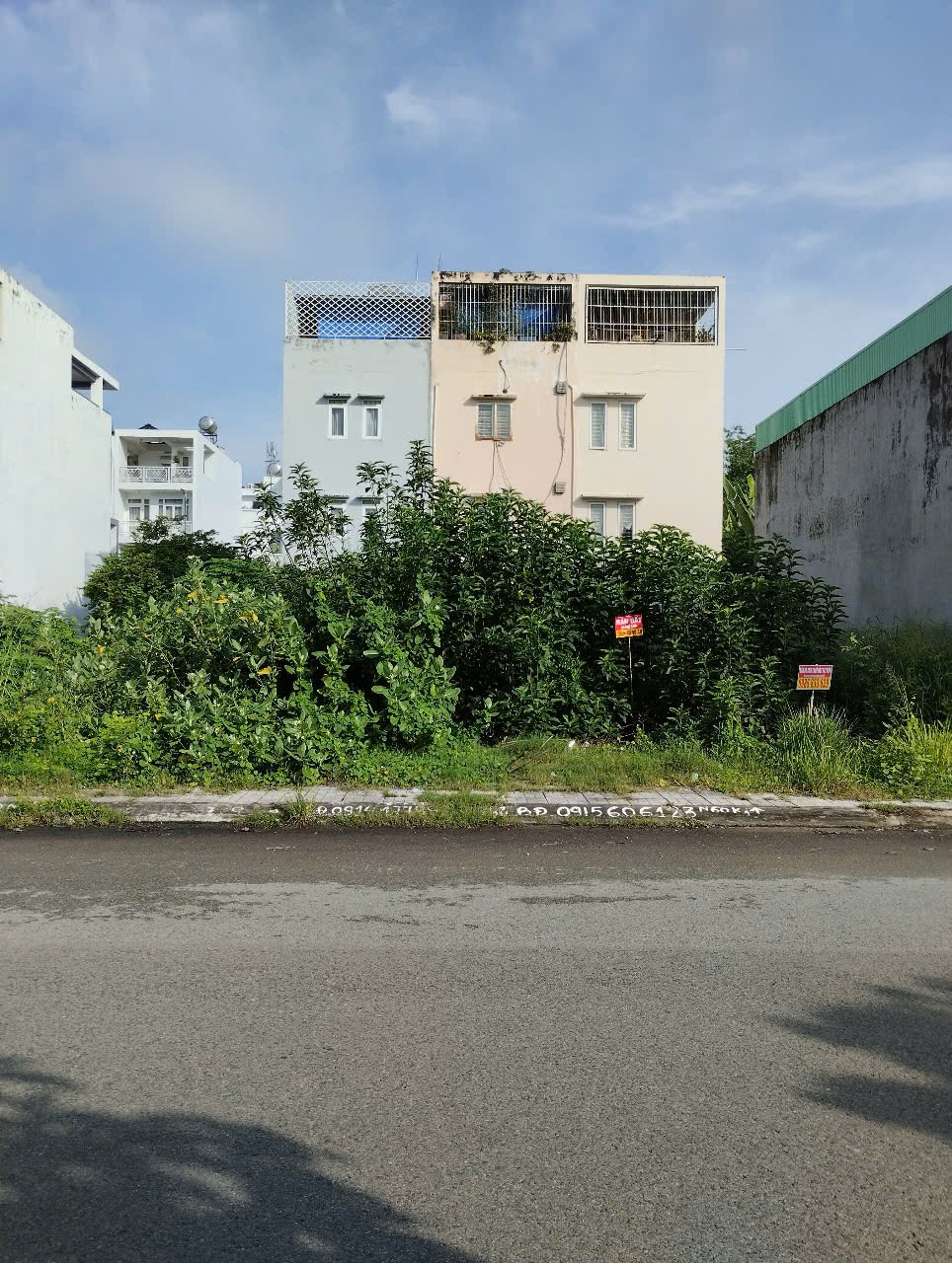 IMG 1757036093091 1757036100804