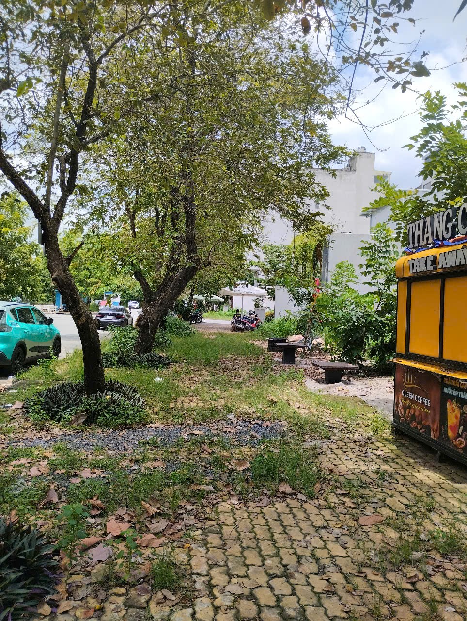 IMG 1757997138493 1757997151327